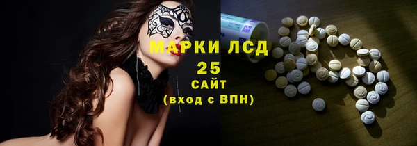 прущие крисы Бородино