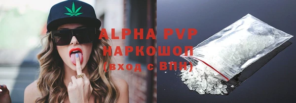 прущие крисы Бородино