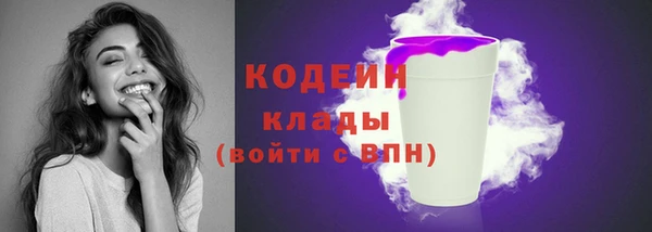 прущие крисы Бородино