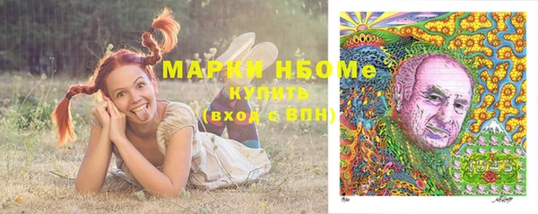 прущие крисы Бородино