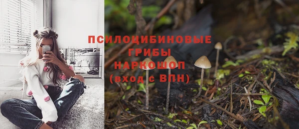 прущие крисы Бородино