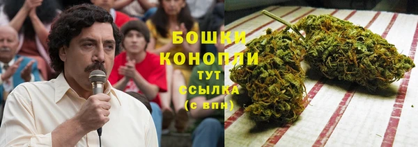 прущие крисы Бородино
