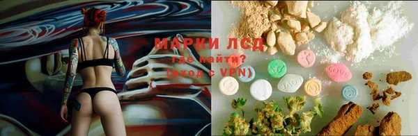 амф Бронницы
